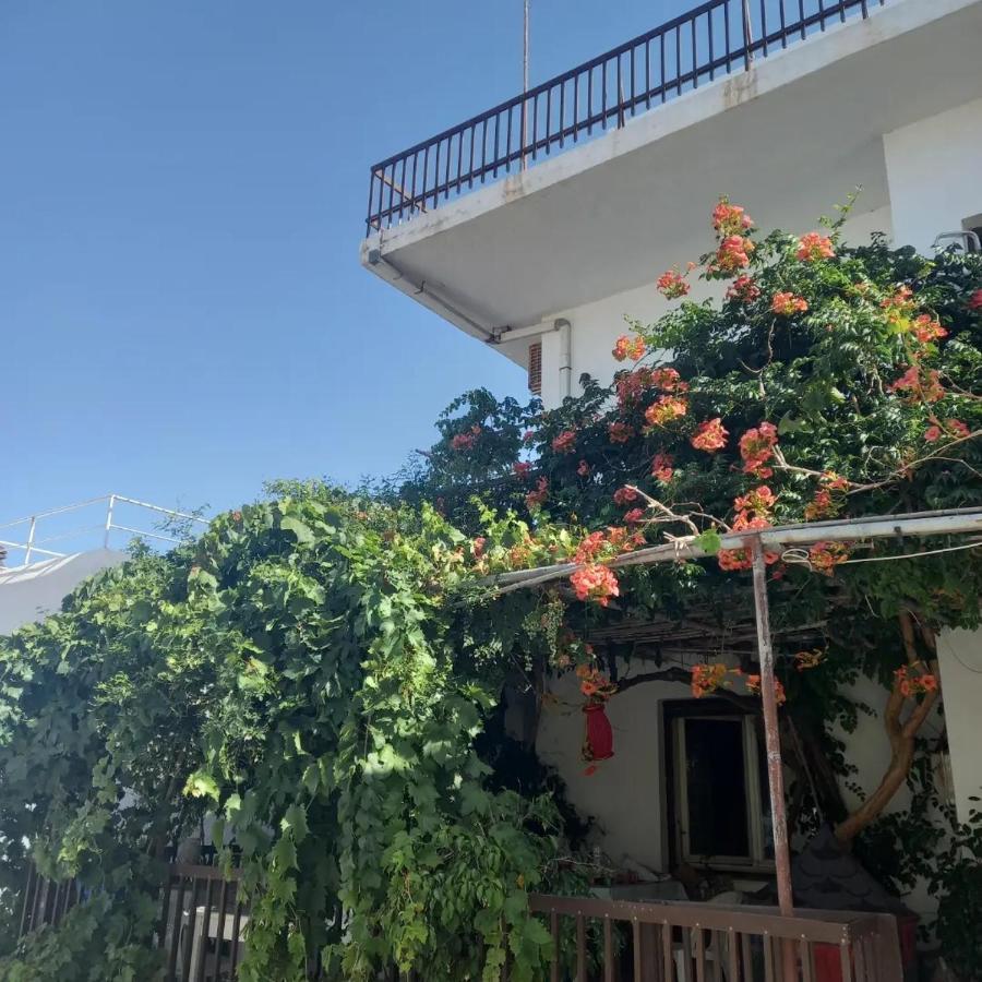 Ampelos Andros Batsíon Exterior photo